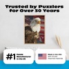 image:imageBuffalo Games  Magnificent Freedom  500 Piece Jigsaw Puzzle Colorful Puzzle for Adults  PrecisionCut Pieces Beautiful Artwork and Hours of Relaxing Fun