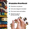 image:imageBuffalo Games Charles Wysocki  Frederick The Literate  300 Piece Jigsaw Puzzle  2125 x 15 in Poster Included  Large EasyGrip Pieces  Jigsaw Puzzles for Adults