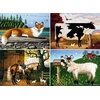 image:imageBuffalo Games  Charles Wysocki  Animal Collage  1000 Piece Jigsaw Puzzle for Adults Challenging Puzzle Perfect for Game Nights  Finished Size is 2675 x 1975
