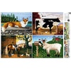 image:imageBuffalo Games  Charles Wysocki  Animal Collage  1000 Piece Jigsaw Puzzle for Adults Challenging Puzzle Perfect for Game Nights  Finished Size is 2675 x 1975
