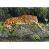 image:imageBuffalo Games  Hautman Brothers  Jaguar and Butterfly  300 Piece Jigsaw Puzzle for Adults Ages 14 and Up Challenging Puzzle Perfect for Game Nights