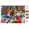 image:imageBuffalo Games  Hautman Brothers  Library Kitties  1000 Piece Jigsaw Puzzle