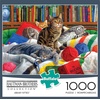 image:imageBuffalo Games  Hautman Brothers  Library Kitties  1000 Piece Jigsaw Puzzle