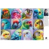 image:imageBuffalo Games  Holly Storlie  Parrot Perfection  1000 Piece Jigsaw Puzzle for Adults Challenging Puzzle Perfect for Game Nights  Finished Size is 2675 x 1975