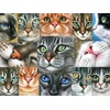 image:imageBuffalo Games  Irina GarmashovaCawton  Cats Closeup  750 Piece Jigsaw Puzzle for Adults Challenging Puzzle Perfect for Game Nights  Finished Size is 2400 x 1800