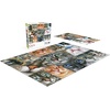 image:imageBuffalo Games  Irina GarmashovaCawton  Cats Closeup  750 Piece Jigsaw Puzzle for Adults Challenging Puzzle Perfect for Game Nights  Finished Size is 2400 x 1800
