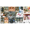 image:imageBuffalo Games  Irina GarmashovaCawton  Cats Closeup  750 Piece Jigsaw Puzzle for Adults Challenging Puzzle Perfect for Game Nights  Finished Size is 2400 x 1800