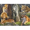 image:imageBuffalo Games  James Hautman  Big Cat Collage  1000 Piece Jigsaw Puzzle for Adults Challenging Puzzle Perfect for Game Nights  Finished Size is 2675 x 1975