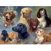 image:imageBuffalo Games  James Hautman  Treasured Friends  750 Piece Jigsaw Puzzle for Adults Challenging Puzzle Perfect for Game Nights  Finished Size is 2400 x 1800