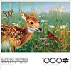 image:imageBuffalo Games  Jim Hautman  Springtime Folly  1000 Piece Jigsaw Puzzle for Adults Challenging Puzzle Perfect for Game Nights  Finished Puzzle Size is 2675 x 1975