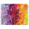 image:imageBuffalo Games  Meghan Crandall  Gradient Flora  1000 Piece Jigsaw Puzzle for Adults Challenging Puzzle Perfect for Game Nights  Finished Size is 2675 x 1975
