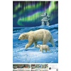 image:imageBuffalo Games  Northern Lights Bears  Hautman Brothers  1000 Piece Winter Jigsaw Puzzle Seasonal Puzzles for Adults  PrecisionCut Pieces Holiday Artwork and Hours of Relaxing Fun
