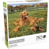 image:imageBuffalo Games  Robert Hautman  Glorious Goldens  750 Piece Jigsaw Puzzle for Adults Challenging Puzzle Perfect for Game Nights  Finished Size is 2400 x 1800