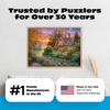 image:imageBuffalo Games Abraham Hunter Warmth of Home 1000 Piece Jigsaw Puzzle  Multicolor 2675 x 1975 in  Bonus Poster  Tight Interlocking Fit  Relaxing 1000 Piece Puzzle for Adults