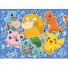 image:imageBuffalo Games Pokmon  Kanto Holiday  100 Piece Jigsaw Puzzle  15 x 11 in Ages 6 amp Up  Bonus Poster  PrecisionCut Parts  100 Piece Puzzle