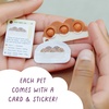 image:imageBuffalo Games Pop It Pets Petites  Season 2  The Ultimate MINI Sensory Fidget Toy  Popping Bubbles and Adorable Characters for Your Pets  Collector map with Cards and Stickers from Buffalo Games