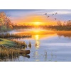 image:imageBuffalo Games  Darrell Bush  Autumn Solitude  1000 Piece Jigsaw Puzzle for Adults Challenging Puzzle Perfect for Game Nights  Finished Size is 2675 x 1975
