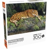 image:imageBuffalo Games  Hautman Brothers  Jaguar and Butterfly  300 Piece Jigsaw Puzzle for Adults Ages 14 and Up Challenging Puzzle Perfect for Game Nights