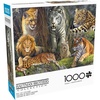 image:imageBuffalo Games  James Hautman  Big Cat Collage  1000 Piece Jigsaw Puzzle for Adults Challenging Puzzle Perfect for Game Nights  Finished Size is 2675 x 1975