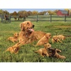 image:imageBuffalo Games  Robert Hautman  Glorious Goldens  750 Piece Jigsaw Puzzle for Adults Challenging Puzzle Perfect for Game Nights  Finished Size is 2400 x 1800