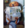 image:imageBuffalo Games Lucia Heffernan  Dog Gone Funny  A Dogs Life  750 Piece Jigsaw Puzzle  24 x 18 in Multicolor  Comical Canine Art  Funny Puzzles for Adults  750 Piece Challenge for Adults