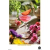 image:imageBuffalo Games  Gold  The Weekend Mixologist  Empressive Gimlet  500 Piece Jigsaw Puzzle for Adults Challenging Puzzle Perfect for Game Nights  Finished Puzzle Size is 2125 x 1500