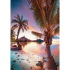 image:imageBuffalo Games  Gold Series  300 Large Piece Jigsaw Puzzle Value Pack Bundle  3 Limited Edition  2 Puzzles Included  Puzzles for Kids and Adults