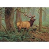 image:imageBuffalo Games  Hayden Lambson  Forest King  500 Piece Jigsaw Puzzle For Adults Challenging Puzzle Perfect for Game Nights  Finished Size is 2125 x 1500  PrecisionCut Pieces Beautiful Artwork
