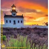 image:imageBuffalo Games  Sunsets by Darina  Leading Light  500 Piece Jigsaw Puzzle for Adults Challenging Puzzle Perfect for Game Nights  Finished Puzzle Size is 2125 x 1500