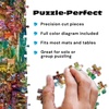 image:imageBuffalo Games Aimee Stewart  Family Campsite  Look Closer  500 Piece Jigsaw Puzzle  2125 x 15 in  Hidden Images  Reference Poster  Adult PuzzlesThe Butterfly Ball