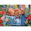 image:imageCEACO Cat Nap 500Piece Jigsaw Puzzle  500 Pieces 2125 x 15 in  Relaxing Challenge with Adult Puzzles  Adorable Cat Design for Animal Fans  FullColor Poster for 500Count Assembly Guide