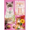 image:imageCeaco  Avanti Cat Fancies  500 Larger Piece Jigsaw Puzzle