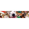 image:imageCeaco  Howard Robinson  Selfies  Holiday Dogs  500 Piece Jigsaw Puzzle