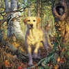 image:imageCeaco  Mark Fredrickson  Yellow Lab  500 Piece Jigsaw Puzzle