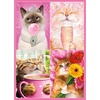 image:imageCeaco  Avanti Cat Fancies  500 Larger Piece Jigsaw Puzzle