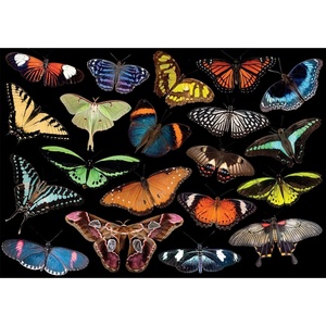 image:imageBuffalo Games  National Geographic  500 Piece Jigsaw Puzzle Value Pack Bundle 2  Limited Edition  6 Puzzles Included  Puzzles for Adults