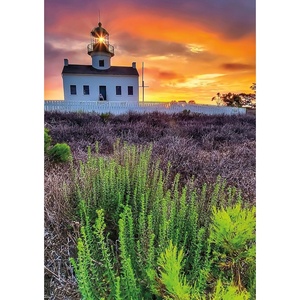 image:imageBuffalo Games  Sunsets by Darina  Leading Light  500 Piece Jigsaw Puzzle for Adults Challenging Puzzle Perfect for Game Nights  Finished Puzzle Size is 2125 x 1500