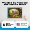 image:imageBuffalo Games  1000 Piece Jigsaw Puzzle  Wild Neuschwanstein  Lars Stewart  Signature Collection Colorful Puzzle for Adults