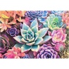 image:imageBuffalo Games  250 Piece Wooden Jigsaw Puzzle Simple Succulents Unique Shaped Whimsy Pieces 2675 x 1975 Poster Cloth Bag Wooden Box Adults 14