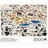 image:imageBuffalo Games  Kara Mohr  Conservation Collage  2000 Piece Jigsaw Puzzle for Adults  Challenging Puzzle Perfect for Game Nights  Finished Size is 3850 x 2650