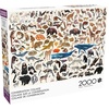 image:imageBuffalo Games  Kara Mohr  Conservation Collage  2000 Piece Jigsaw Puzzle for Adults  Challenging Puzzle Perfect for Game Nights  Finished Size is 3850 x 2650