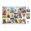 image:imageBuffalo Games  Michael Quackenbush  Its a Ruff Life  1500 Piece Jigsaw Puzzle for Adults Challenging Puzzle Perfect for Game Nights  Finished Size is 3850 x 2650