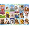image:imageBuffalo Games  Michael Quackenbush  Its a Ruff Life  1500 Piece Jigsaw Puzzle for Adults Challenging Puzzle Perfect for Game Nights  Finished Size is 3850 x 2650
