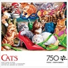 image:imageBuffalo Games  Shoe Closet Kittens  750 Piece Jigsaw Puzzle for Adults Challenging Puzzle Perfect for Game Nights  Finished Size is 24 x 18