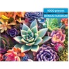image:imageBuffalo Games James Mertke Simple Succulent 1000 Piece Jigsaw Puzzle  2675 x 1975 in Rectangular  Puzzles for Adults  Vibrant Plant Artwork  Bonus Reference DiagramPuzzle
