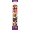 image:imageCEACO 2000 Piece Jigsaw Puzzle  385 x 265 in  Relaxing Focus Activity with 2000 Piece Puzzles for Adults  FullColor Guide for Jigsaw Designs
