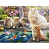 image:imageCeaco  A Purrfect Day  500 Piece Jigsaw Puzzle