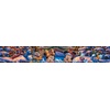 image:imageCeaco  Disney  Dowdle  Mickey and Friends  Skating in Central Park  1500 Piece Jigsaw Puzzle