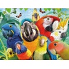 image:imageCeaco  Selfies  Perfect Parrot  500 Piece Jigsaw Puzzle