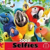 image:imageCeaco  Selfies  Perfect Parrot  500 Piece Jigsaw Puzzle